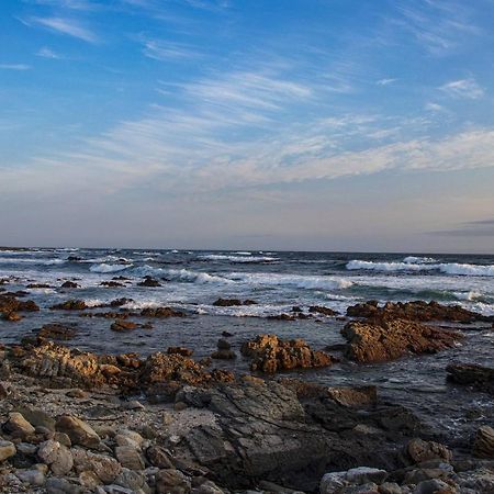 Snails' End Cottage Hermanus Dış mekan fotoğraf