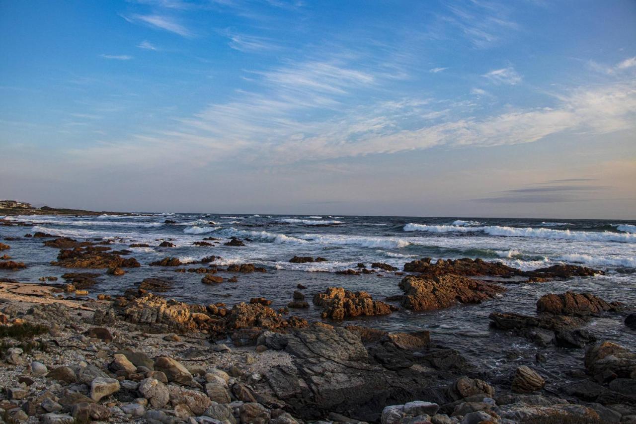 Snails' End Cottage Hermanus Dış mekan fotoğraf